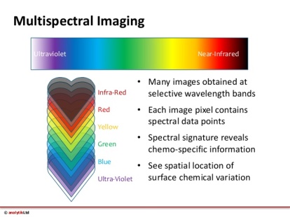 multispectral-imaging-of-food-quality-with-videometerlab3-5-638